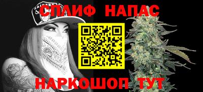 ешки Будённовск