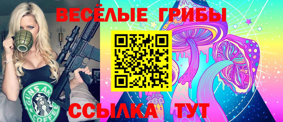 Псилоцибиновые грибы мухоморы Михайловск