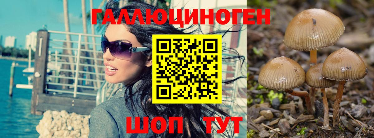 Псилоцибиновые грибы Magic Shrooms  Псилоцибиновые грибы Psilocybe  Вход с VPN  Михайловск 